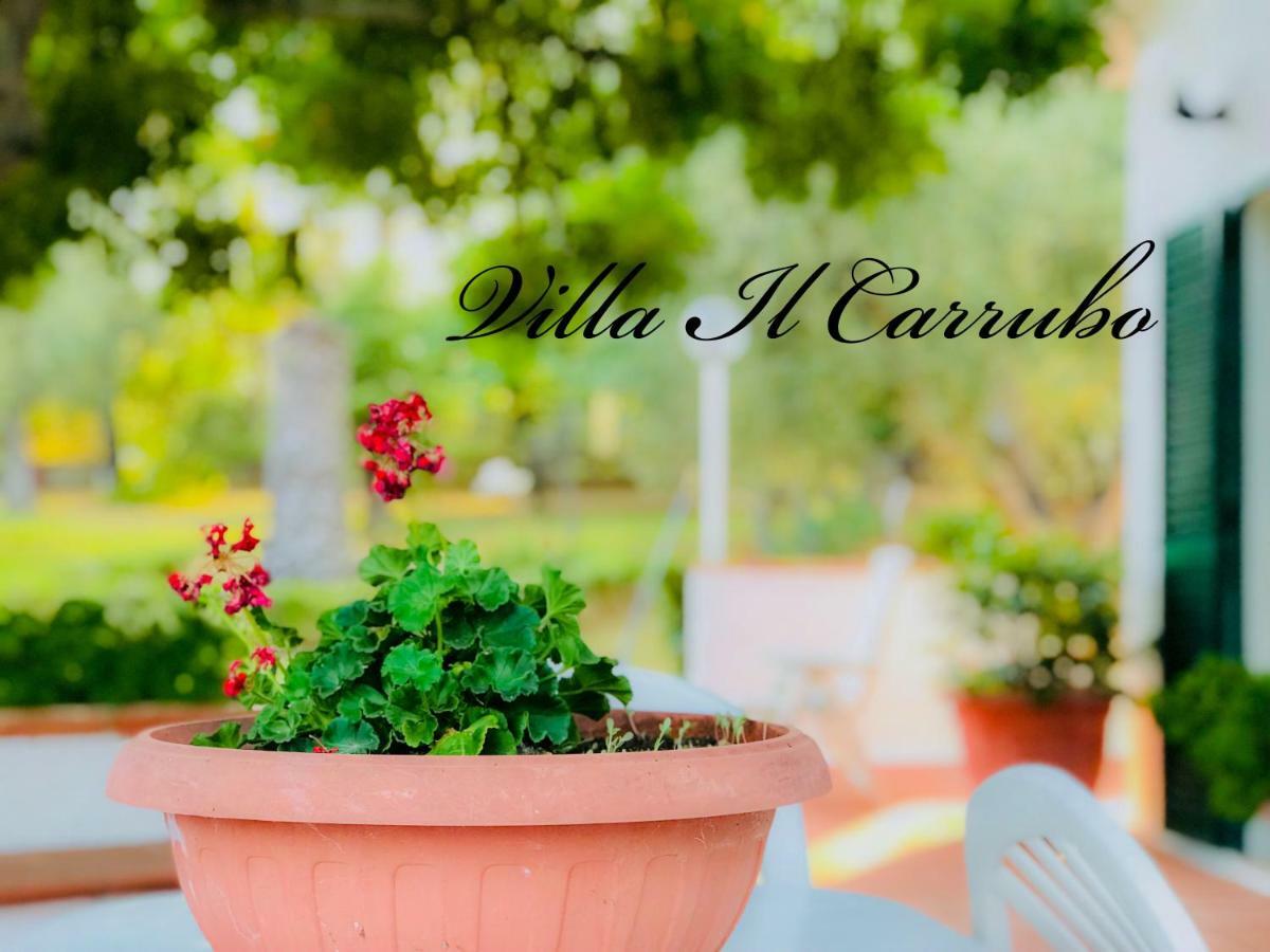 Villa Il Carrubo - Basilicata ปิสติชชี ภายนอก รูปภาพ
